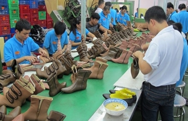 Nguyên vật liệu và hóa chất sử dụng trong ngành sản xuất giày da.