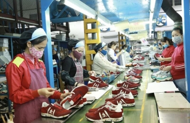 Các chất cần hạn chế trong sản xuất hàng may mặc và giày dép